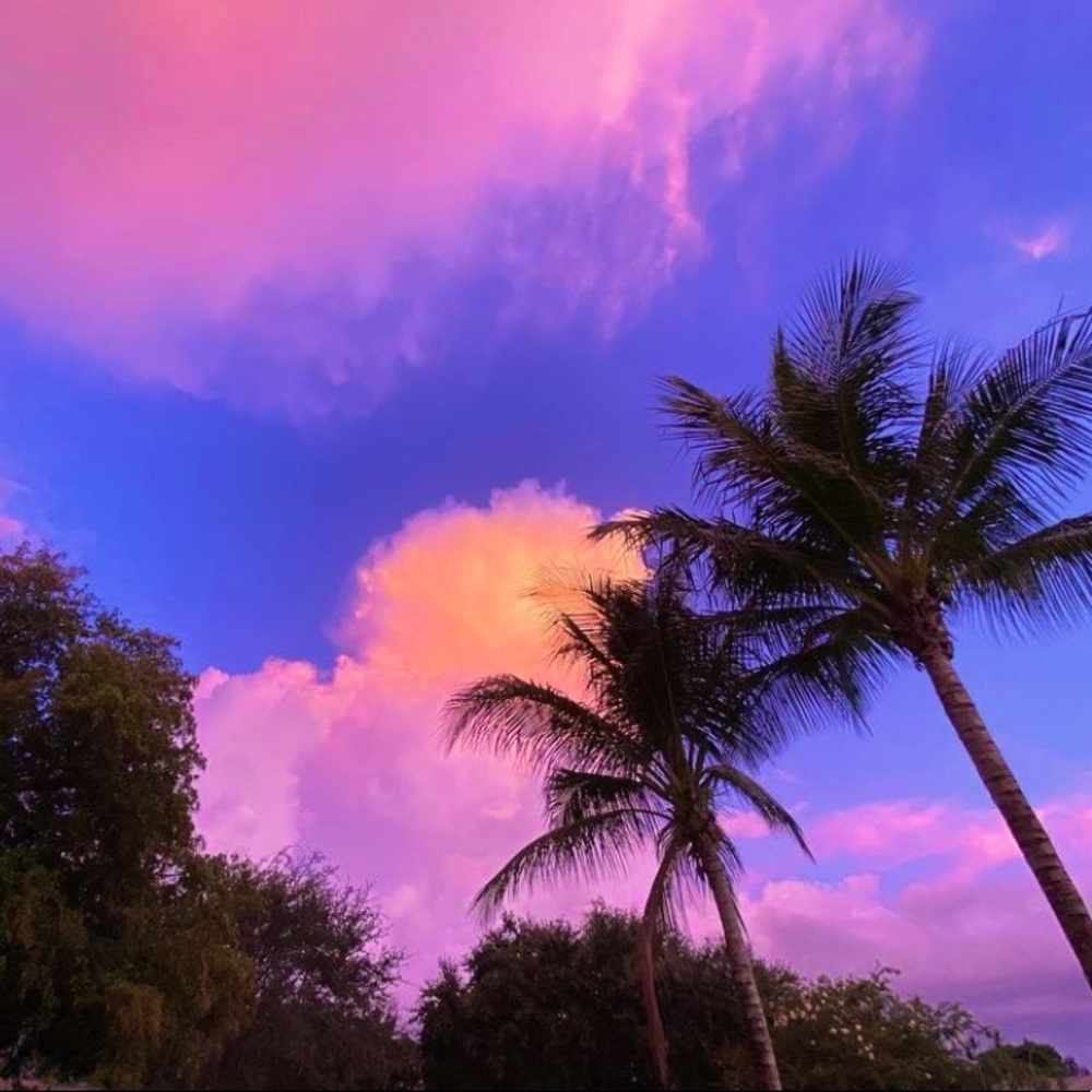 North Palm Beach FL 🏝💗😻